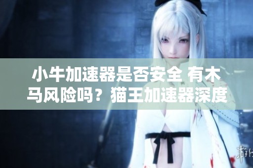 小牛加速器是否安全 有木马风险吗？猫王加速器深度解析