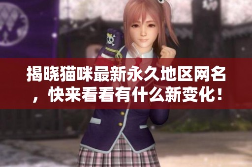 揭晓猫咪最新永久地区网名，快来看看有什么新变化！