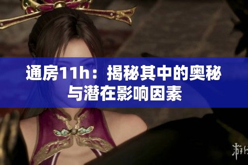 通房11h：揭秘其中的奥秘与潜在影响因素