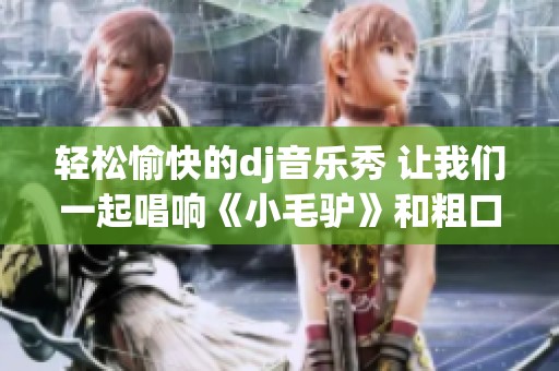 轻松愉快的dj音乐秀 让我们一起唱响《小毛驴》和粗口歌词的乐趣