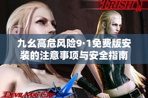 九幺高危风险9·1免费版安装的注意事项与安全指南
