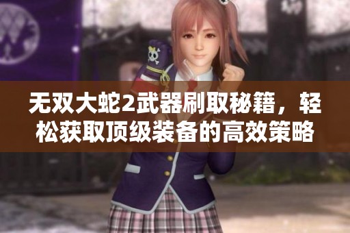无双大蛇2武器刷取秘籍，轻松获取顶级装备的高效策略与技巧