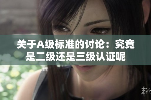 关于A级标准的讨论：究竟是二级还是三级认证呢
