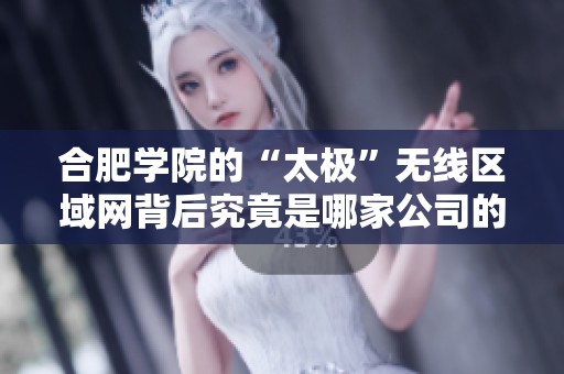 合肥学院的“太极”无线区域网背后究竟是哪家公司的支持