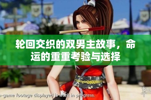 轮回交织的双男主故事，命运的重重考验与选择