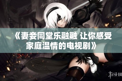 《妻妾同堂乐融融 让你感受家庭温情的电视剧》