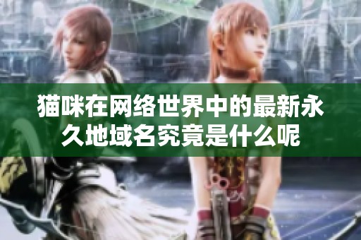 猫咪在网络世界中的最新永久地域名究竟是什么呢