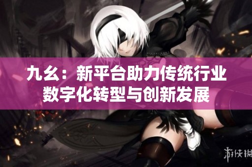 九幺：新平台助力传统行业数字化转型与创新发展