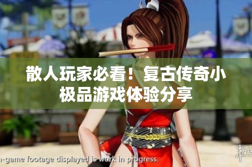 散人玩家必看！复古传奇小极品游戏体验分享
