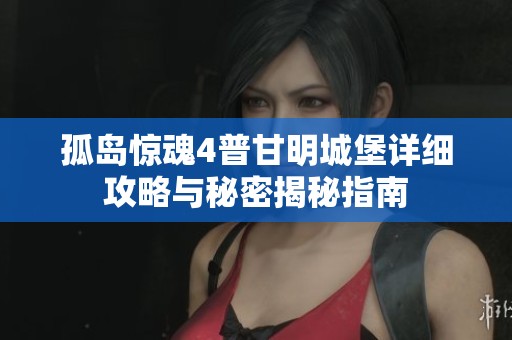 孤岛惊魂4普甘明城堡详细攻略与秘密揭秘指南