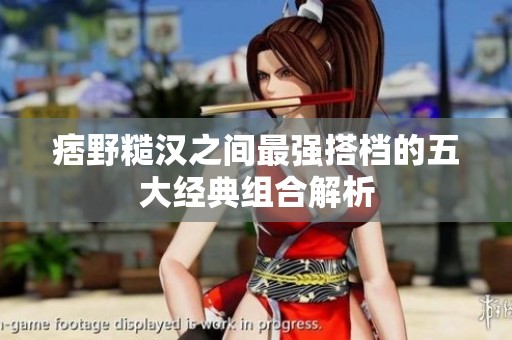 痞野糙汉之间最强搭档的五大经典组合解析