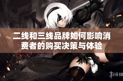 二线和三线品牌如何影响消费者的购买决策与体验