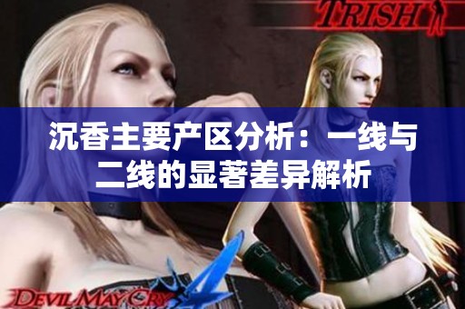沉香主要产区分析：一线与二线的显著差异解析