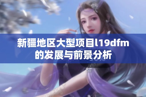 新疆地区大型项目l19dfm的发展与前景分析