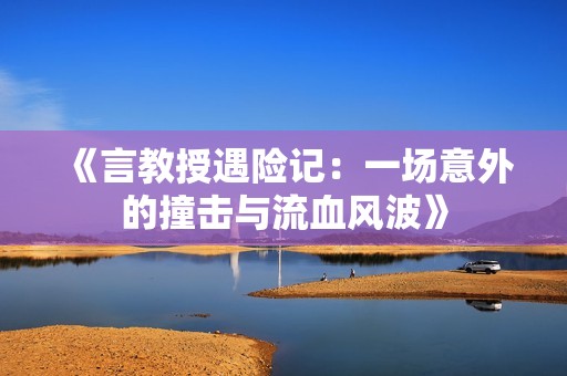 《言教授遇险记：一场意外的撞击与流血风波》