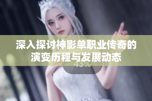 深入探讨神影单职业传奇的演变历程与发展动态