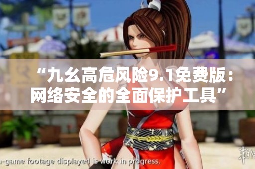 “九幺高危风险9.1免费版：网络安全的全面保护工具”