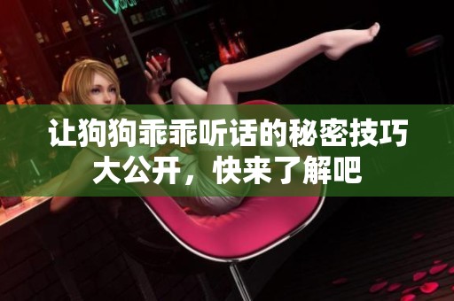 让狗狗乖乖听话的秘密技巧大公开，快来了解吧