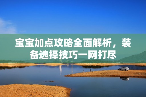 宝宝加点攻略全面解析，装备选择技巧一网打尽