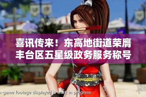 喜讯传来！东高地街道荣膺丰台区五星级政务服务称号