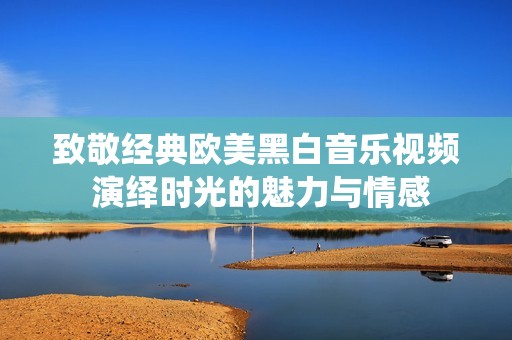 致敬经典欧美黑白音乐视频 演绎时光的魅力与情感