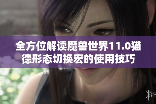 全方位解读魔兽世界11.0猫德形态切换宏的使用技巧