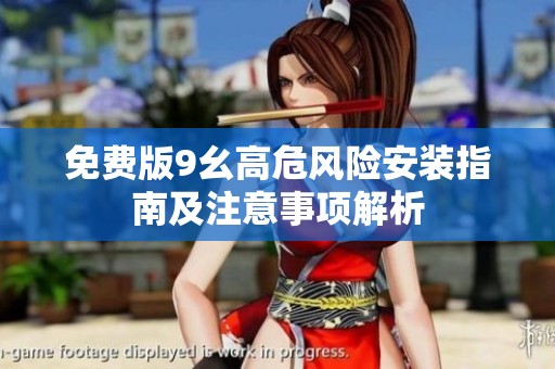 免费版9幺高危风险安装指南及注意事项解析