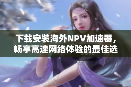 下载安装海外NPV加速器，畅享高速网络体验的最佳选择