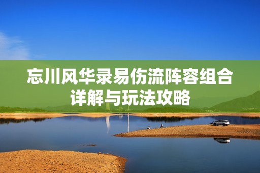 忘川风华录易伤流阵容组合详解与玩法攻略
