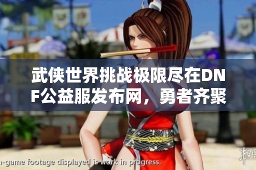 武侠世界挑战极限尽在DNF公益服发布网，勇者齐聚一堂！