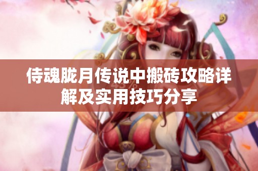 侍魂胧月传说中搬砖攻略详解及实用技巧分享