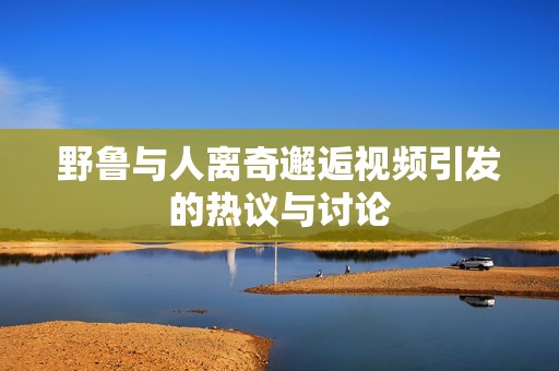 野鲁与人离奇邂逅视频引发的热议与讨论