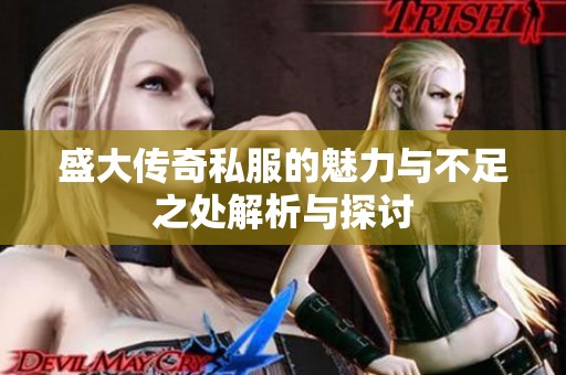 盛大传奇私服的魅力与不足之处解析与探讨