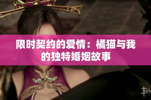 限时契约的爱情：橘猫与我的独特婚姻故事