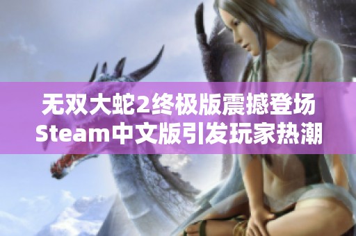 无双大蛇2终极版震撼登场Steam中文版引发玩家热潮