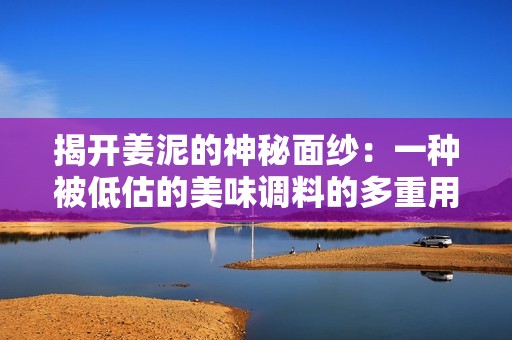 揭开姜泥的神秘面纱：一种被低估的美味调料的多重用途