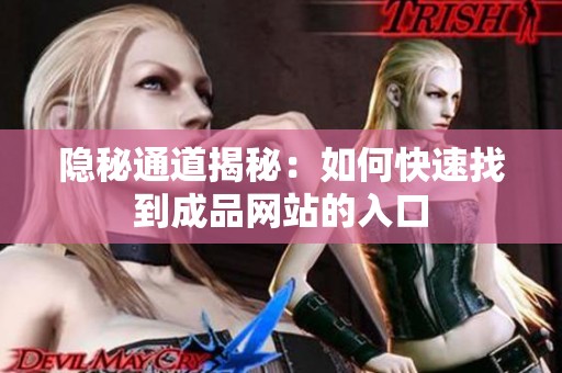 隐秘通道揭秘：如何快速找到成品网站的入口