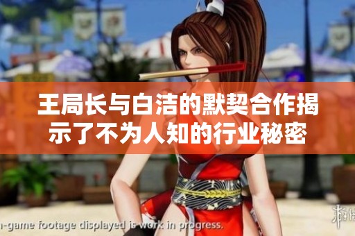 王局长与白洁的默契合作揭示了不为人知的行业秘密