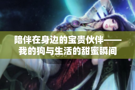 陪伴在身边的宝贵伙伴——我的狗与生活的甜蜜瞬间