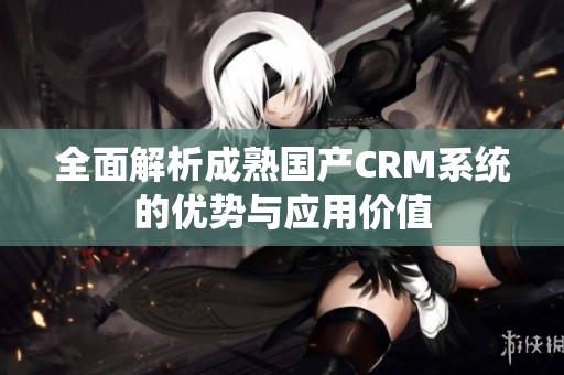 全面解析成熟国产CRM系统的优势与应用价值