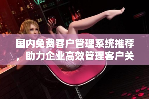 国内免费客户管理系统推荐，助力企业高效管理客户关系