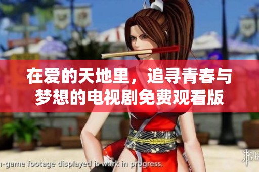 在爱的天地里，追寻青春与梦想的电视剧免费观看版