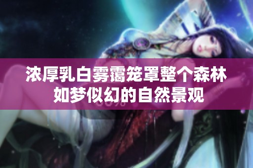 浓厚乳白雾霭笼罩整个森林 如梦似幻的自然景观