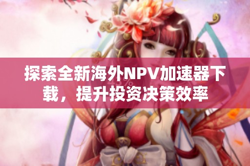 探索全新海外NPV加速器下载，提升投资决策效率