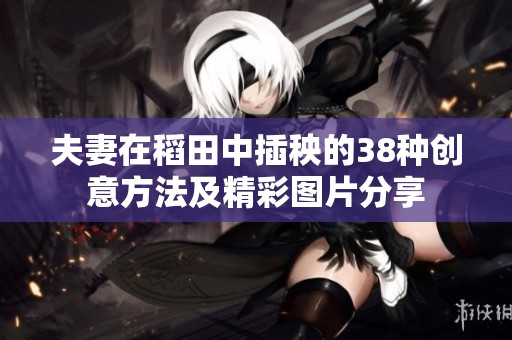 夫妻在稻田中插秧的38种创意方法及精彩图片分享