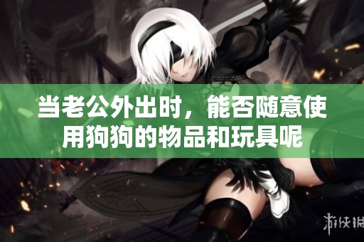 当老公外出时，能否随意使用狗狗的物品和玩具呢