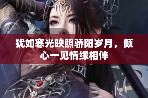 犹如寒光映照骄阳岁月，倾心一见情缘相伴