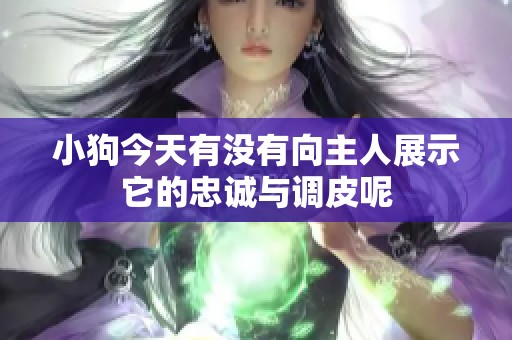 小狗今天有没有向主人展示它的忠诚与调皮呢
