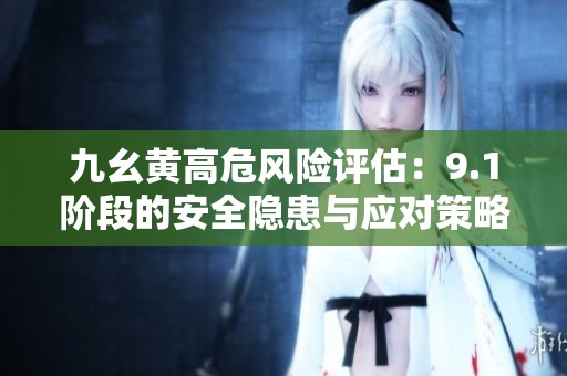 九幺黄高危风险评估：9.1阶段的安全隐患与应对策略