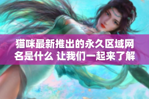 猫咪最新推出的永久区域网名是什么 让我们一起来了解一下